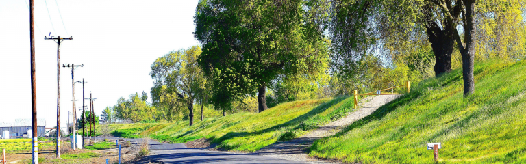 A paved rural road curves beside a grassy levee lined with trees, utility poles, and a yellow gate leading up the slope.