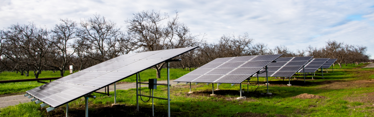 Rows of solar panels are installed in a grassy field with leafless trees and a cloudy sky in the background.