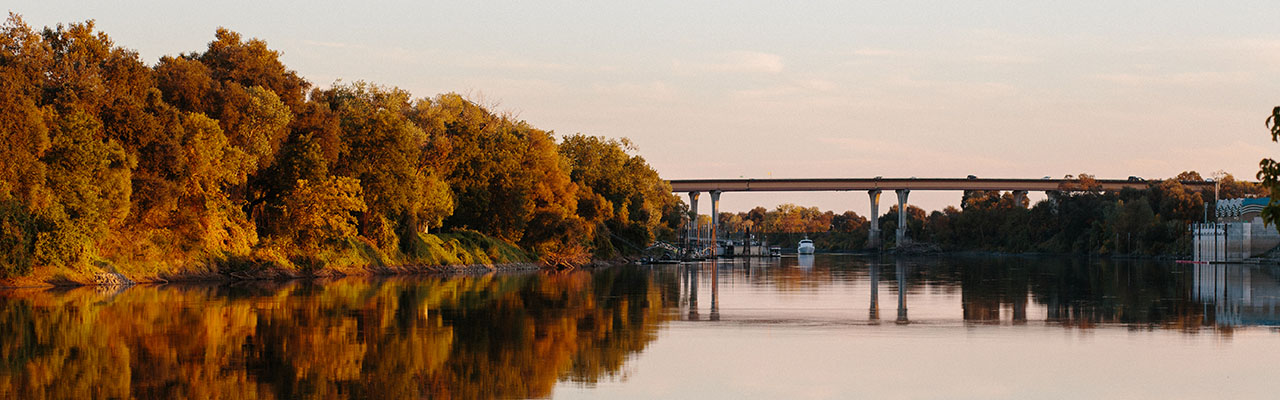 photo of bridge